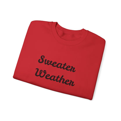 Fun Unisex Crewneck Sweatshirt,"Sweater Weather", Cute Unique Him/Her Gift, Novelty Present Christmas, Birthday, Any Occasion