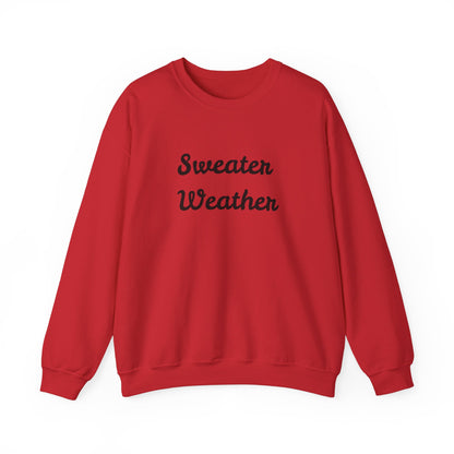 Fun Unisex Crewneck Sweatshirt,"Sweater Weather", Cute Unique Him/Her Gift, Novelty Present Christmas, Birthday, Any Occasion