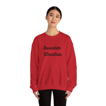 Fun Unisex Crewneck Sweatshirt,"Sweater Weather", Cute Unique Him/Her Gift, Novelty Present Christmas, Birthday, Any Occasion