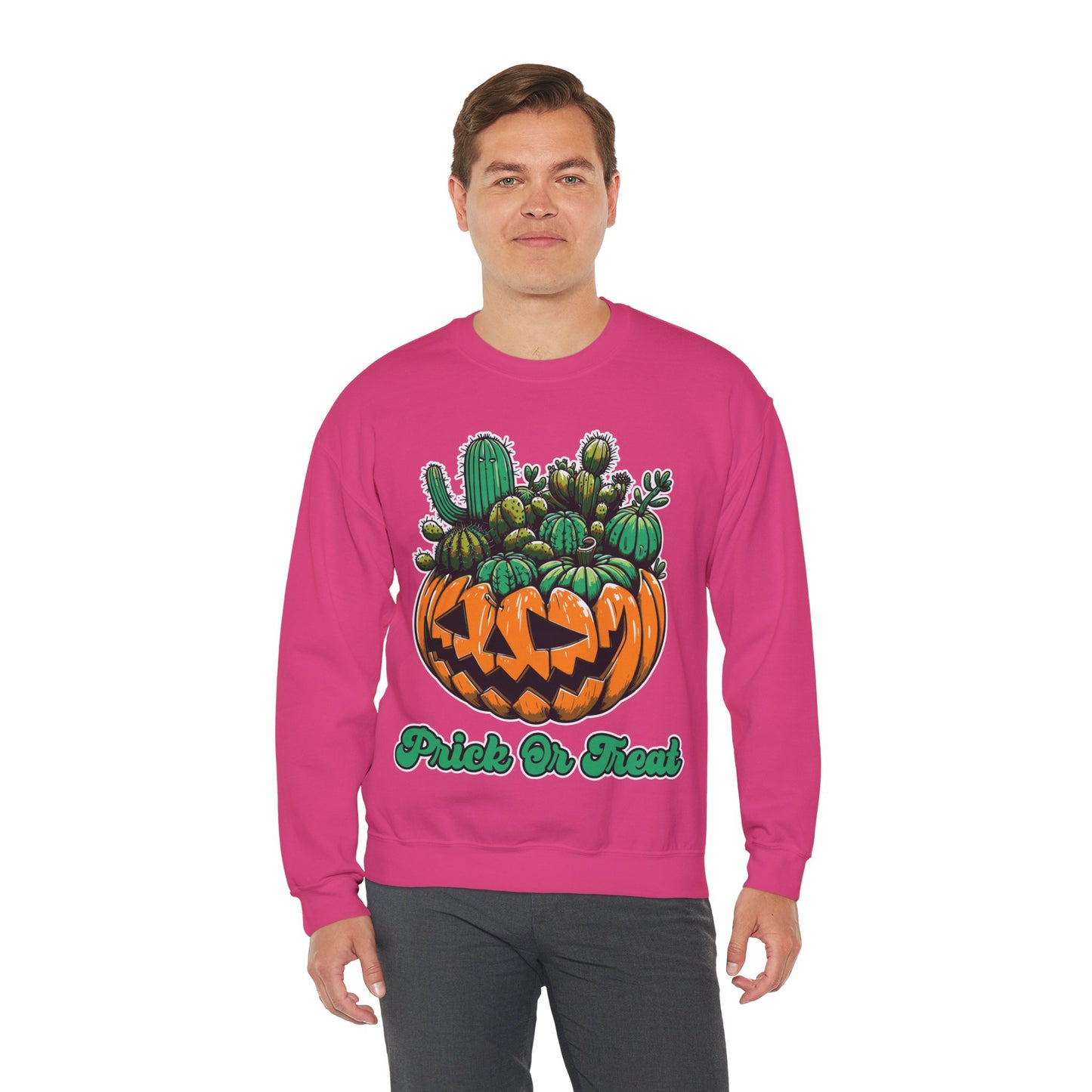 Prick or Treat Sweatshirt Halloween Cactus Succulent Sweater Funny Halloween Unisex Gardener Gift Pullover Sweat Halloween Plant Lover Gift